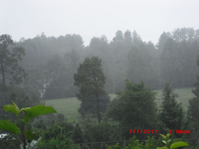 nuestro clima templado